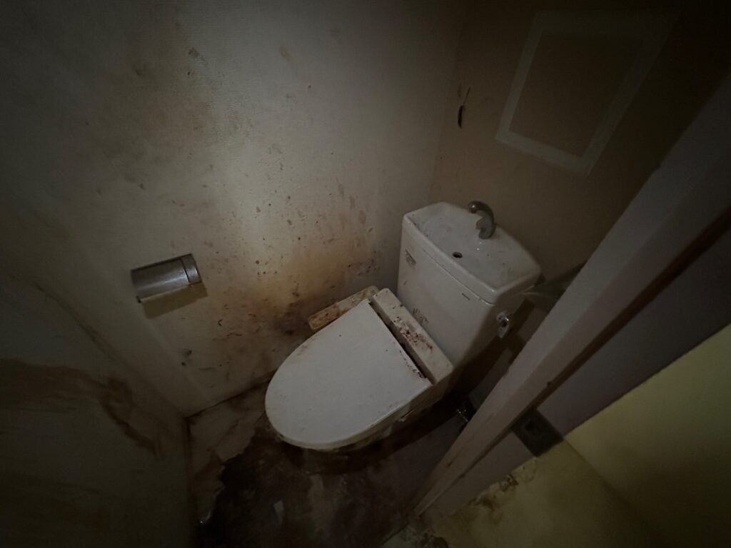 トイレ　クロス貼替　ＣＦ貼替　クリーニング　排水詰まり除去　ウォシュレット交換